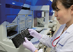 樣品的品質檢查